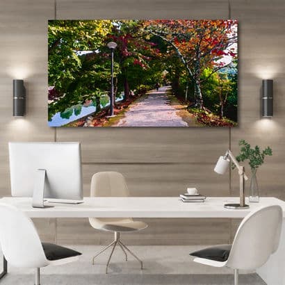 Enchanted Sunlit Forest Path - Large Canvas Wall Art